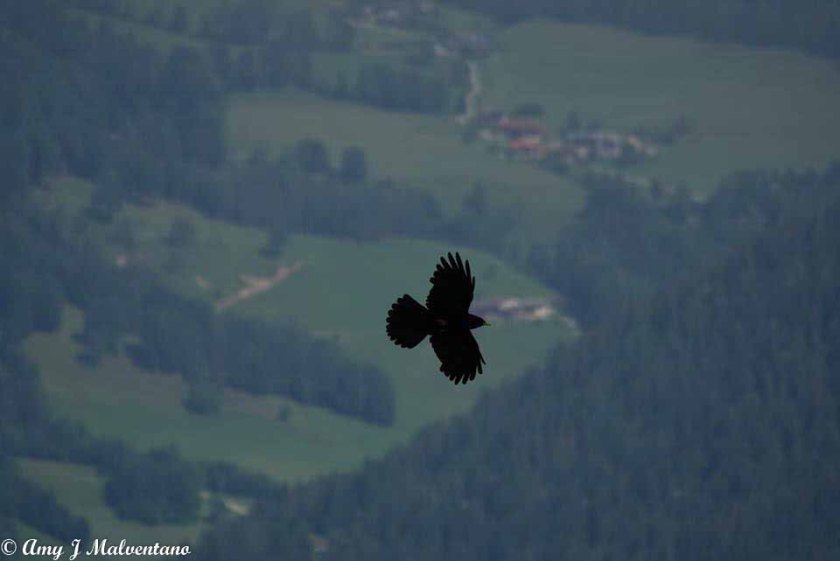 34367753_10156170590966830_2912281203019087872_n