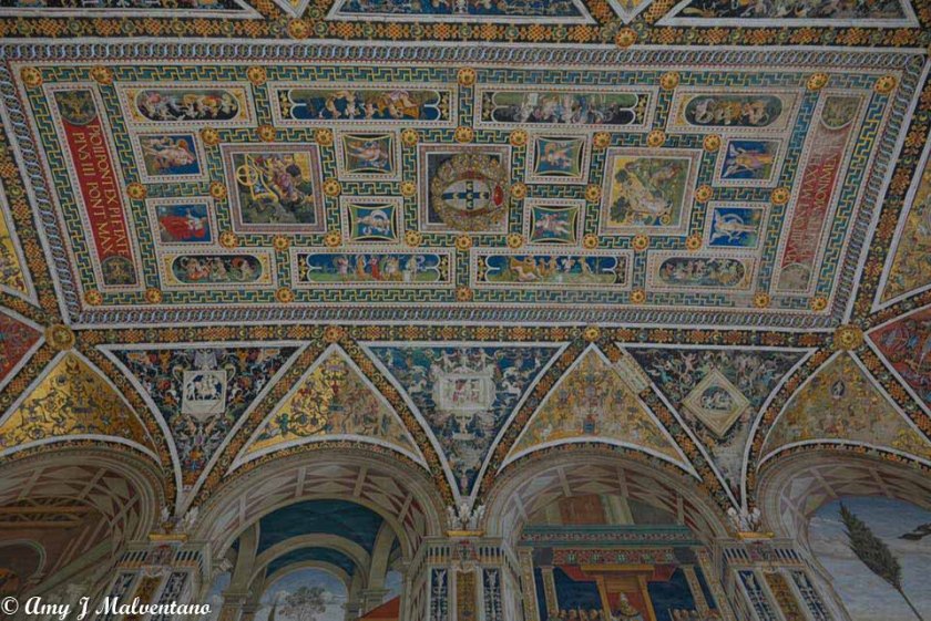 36087922_10156225085576830_8600815371953373184_n