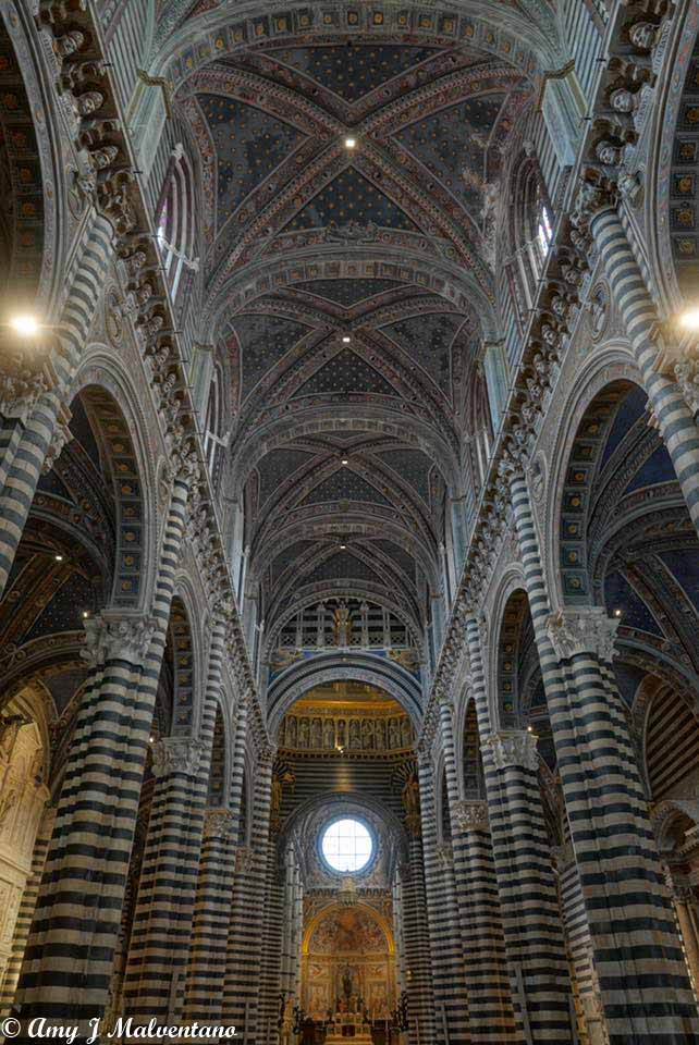 36266048_10156225084121830_4260988349432463360_n