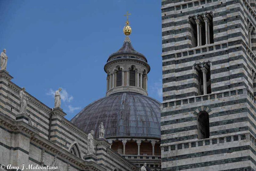 36301809_10156225083781830_2231248008626831360_n