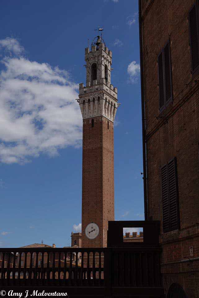 36304046_10156225135956830_5422231374650146816_n