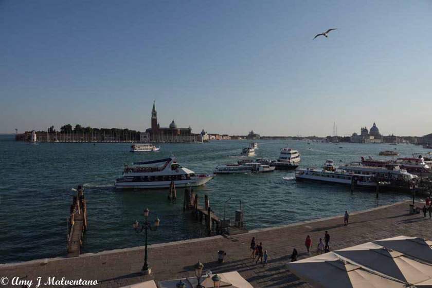 36413501_10156234897201830_7844048233251733504_n