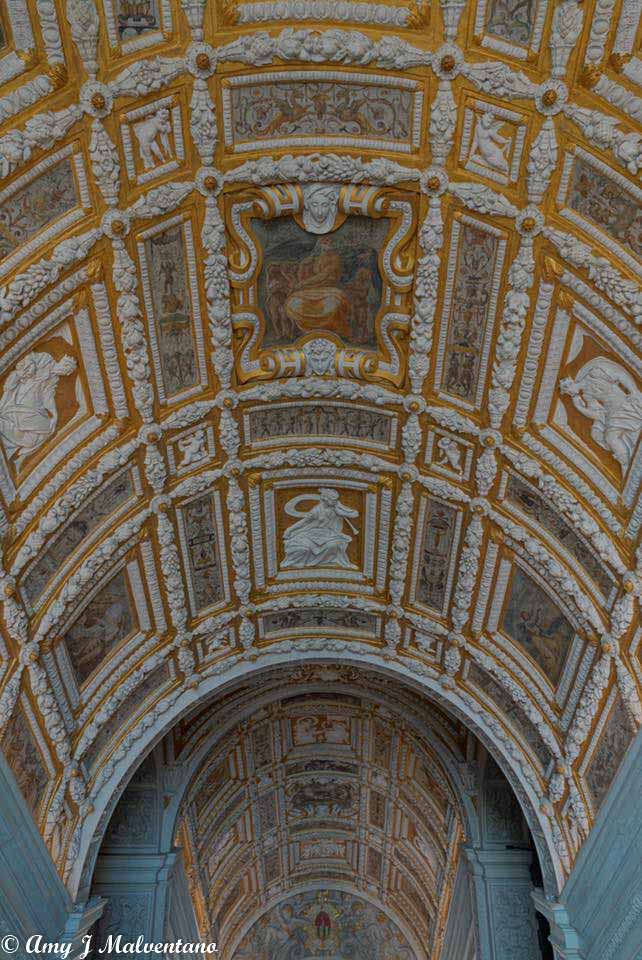 36486251_10156237957836830_1089787263472107520_n