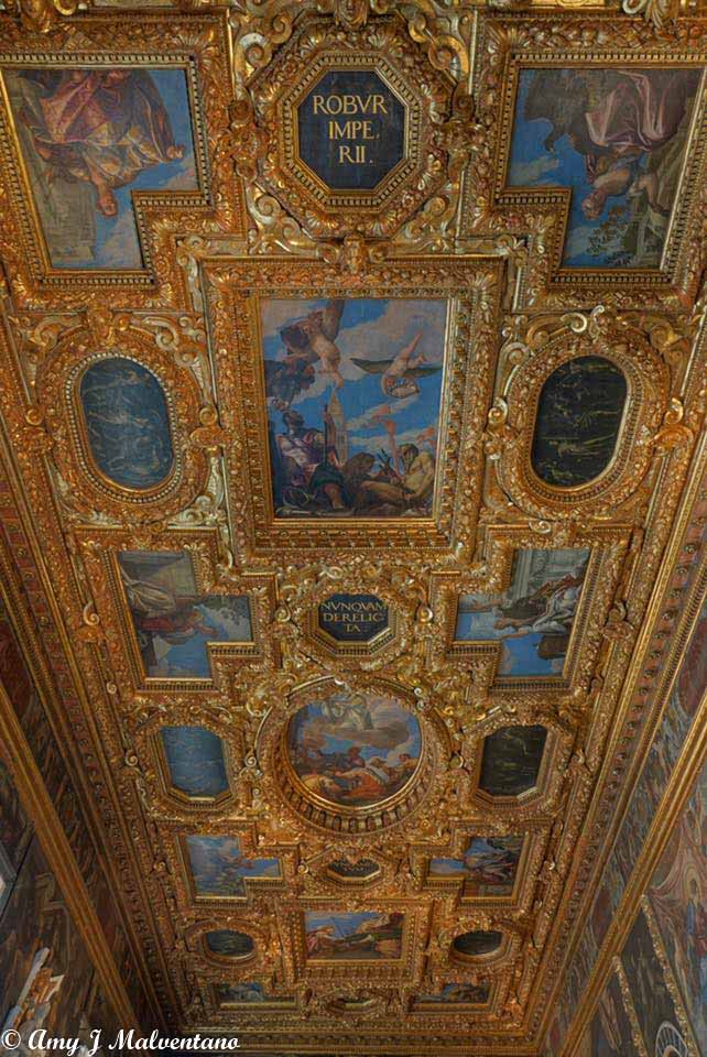 36501653_10156237958396830_1474083366406979584_n