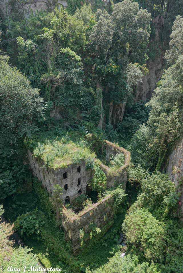 36698447_10156248743376830_303641513378709504_n